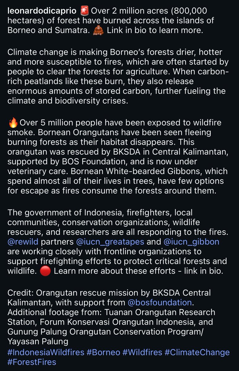 bittercaffeines's tweet photo. Leonardo DiCaprio lebih vokal tentang karhutla ternyata daripada…… https://t.co/f78SftmS5v