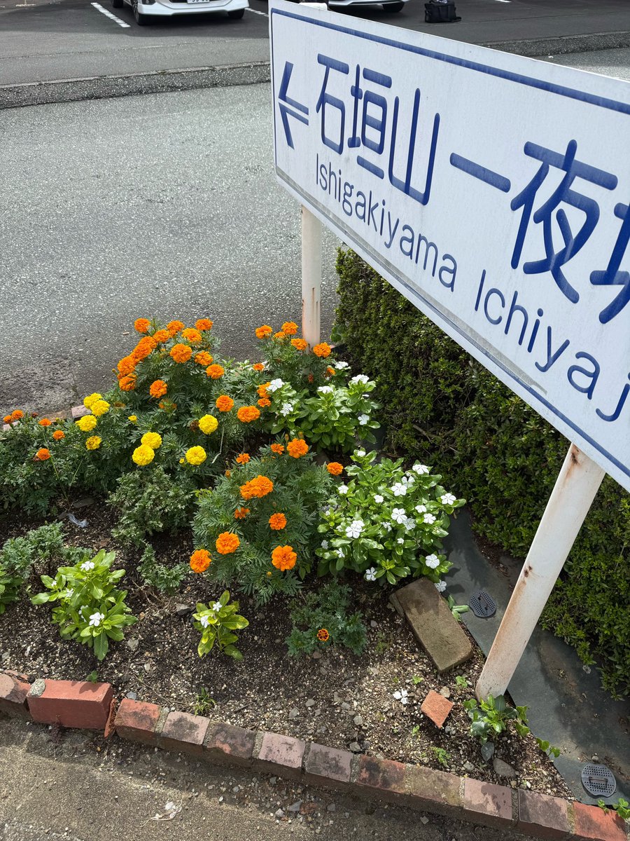 511LOG's tweet photo. 261006 15:36 JST
🌷📸 https://t.co/3N3YnUHJ3a