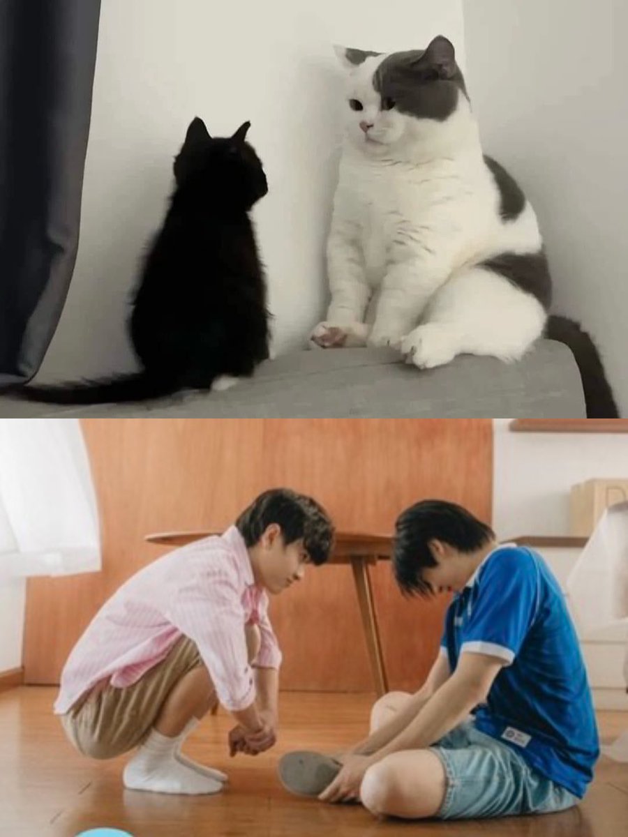 ncyyyyjiji's tweet photo. copy paste มากกกก🐈‍⬛🐈🎀

#Theewave
#tthi_eks #waavetnp https://t.co/8eiD9lKKKp