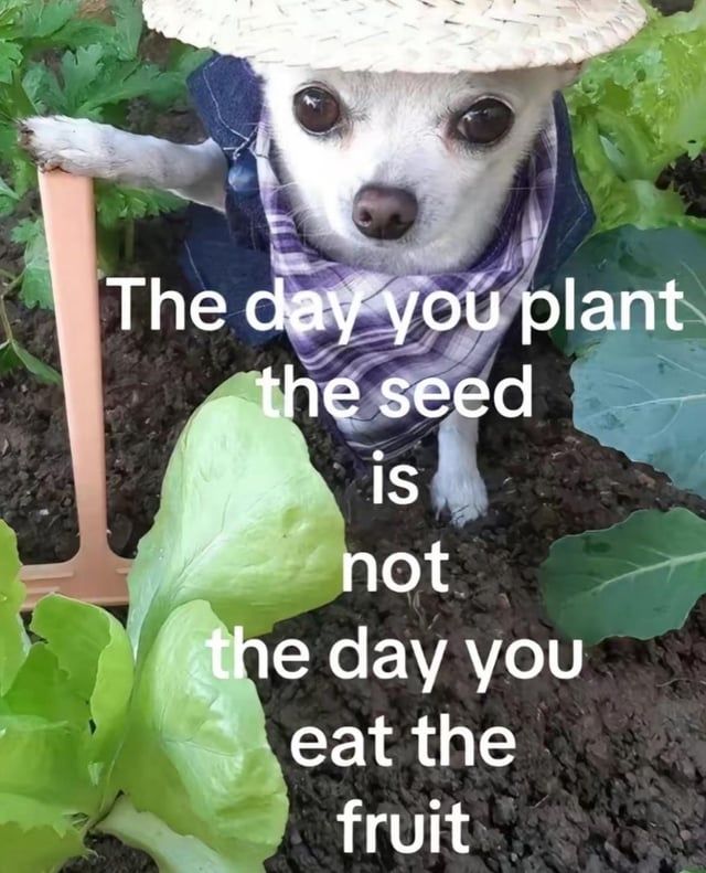 _callmeangie's tweet photo. to all of my fellow builders, indie hackers, people working on achieving their dreams 🪄 https://t.co/BPELg5EKw6