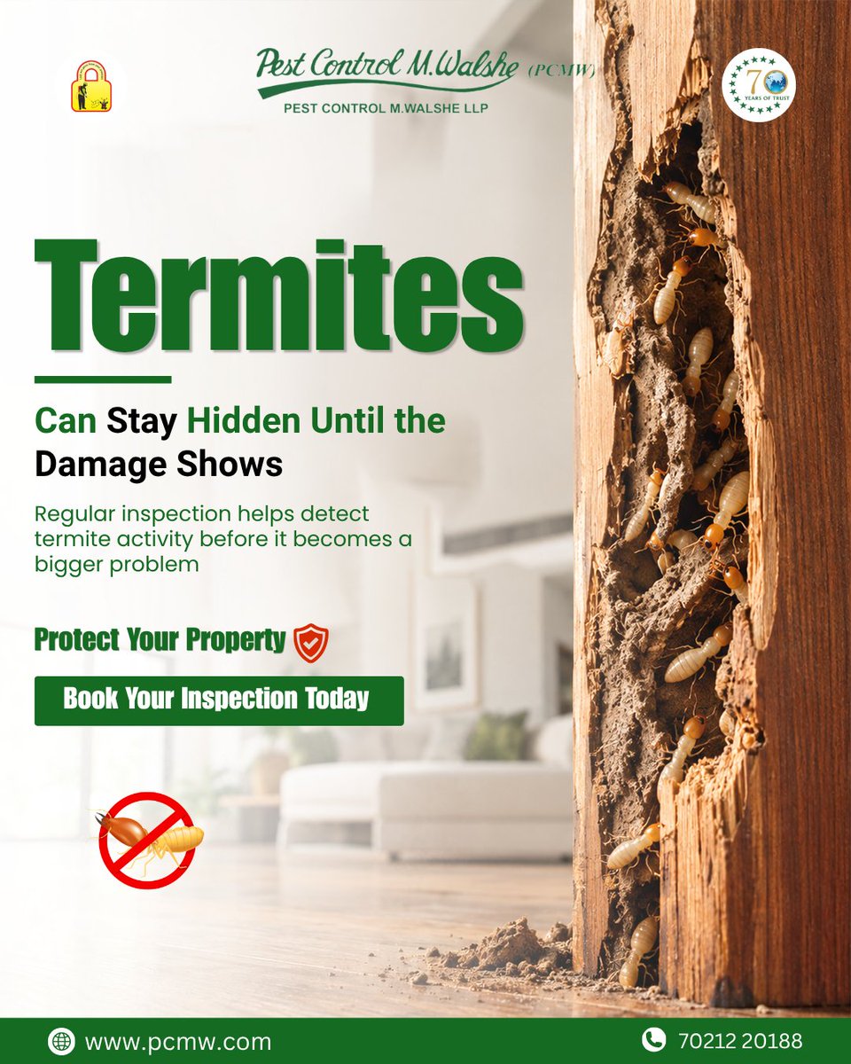PCMWalshe's tweet photo. Termites work silently. By the time you see the damage, the infestation may already be established.

Don’t wait. Get your property inspected today.

📞 70212 20188
🌐 https://t.co/2iLuJb9sZD
#TermiteControl #PestControl #PCMW https://t.co/zE3Yy5DCBo