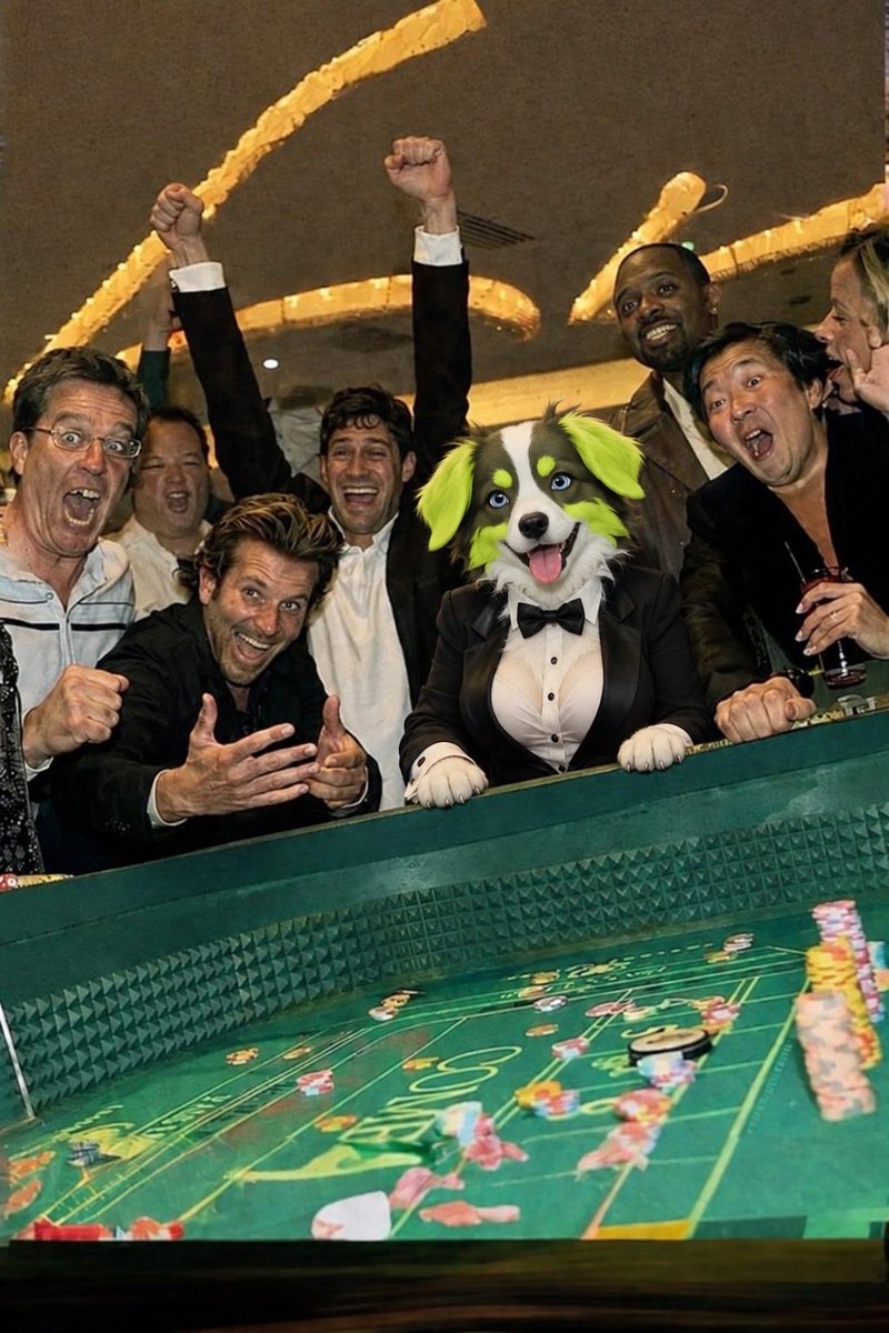 Robdoghood's tweet photo. whole table went silent when robdog rolled. casino math doesn't work here 🎲🐾 $ROBDOG https://t.co/gKvuAJCt1H