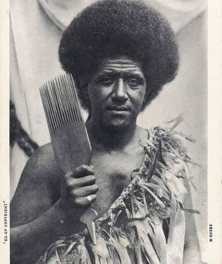 BlkHistStudies's tweet photo. A whole new world of knowledge awaits us! Black History is so vast and complex, it's amazing to think about how much there is to learn. ❤️💚🖤
📸 A man from Fiji showcasing his Afro and his Afro comb. #globalafricanprescence #originofhumanity https://t.co/fYovtq95b6