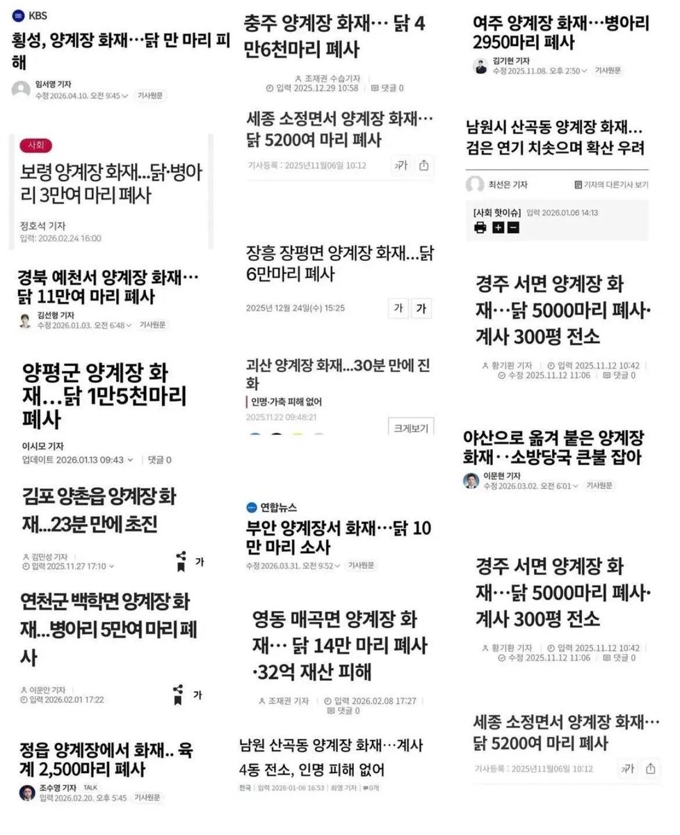 nya_nyangee's tweet photo. 하… 양계장 다 불 지르고 이게 뭔 개짓거리임? https://t.co/xPpqCTaYty