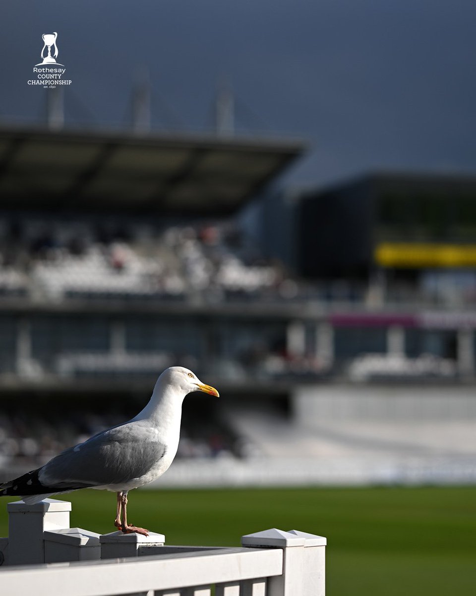 CountyChamp's tweet photo. Nothing improves a day at the cricket like seeing a new friend https://t.co/WRlwv6WWdb