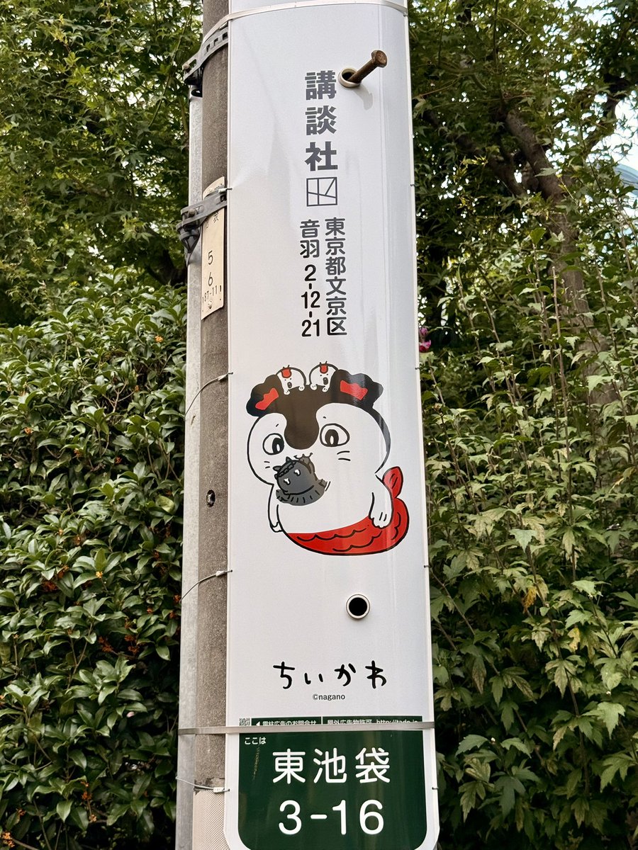 nagi_nagio's tweet photo. 池袋で仕事だったので時間まで全部は無理やったけど幾つか見つけることが出来た！電柱！😄

シーサーとくりまんじゅうが背中合わせやったのが熱かった😭 https://t.co/OOLTtomKzx