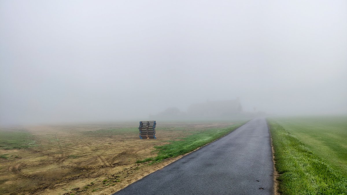 luclambert11's tweet photo. #vrtweer Luc Lambert 10u23 Pittem mist en zon  wind OZO 21° https://t.co/AtYlgFWSfe