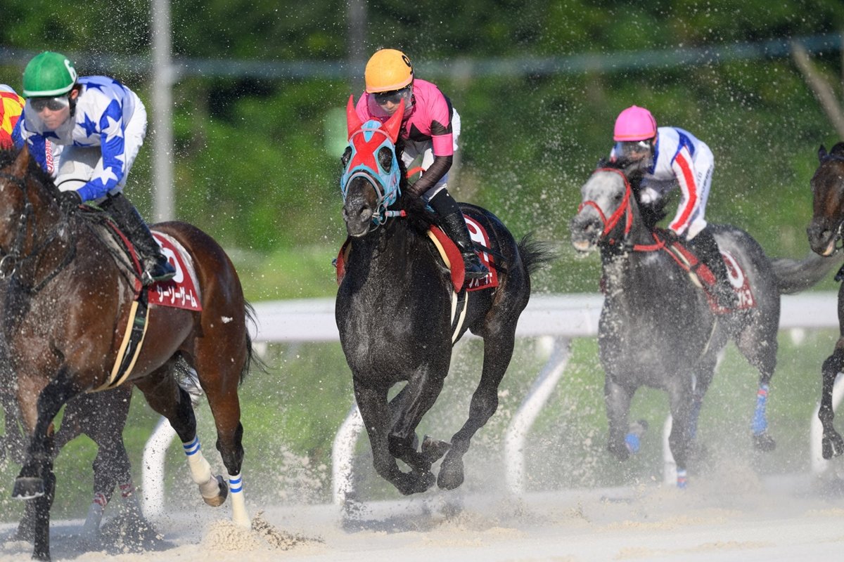 katsumaruclub's tweet photo. 川崎競馬倶楽部ブログを更新しました。

川崎所属馬・所属騎手の遠征結果（10月１日遠征分）
https://t.co/voco0kFng2

川崎から参戦したフォーチュンテラーは５着でした。

#地方競馬 #川崎競馬 https://t.co/dwZaSyZKld