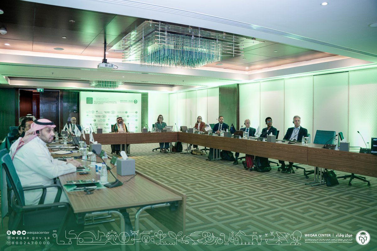 WeqaaCenter's tweet photo. افتتاح أعمال الدورة الـ38 للمشاورات الفنية بين المنظمات الإقليمية لوقاية النباتات، بحضور سعادة الرئيس التنفيذي لمركز #وقاء، المهندس أيمن الغامدي، وممثلي المنظمات الإقليمية والدولية والخبراء والمختصين في مجال الصحة النباتية.
وتناقش الدورة عددًا من الموضوعات والأولويات المشتركة، بما يعزز التنسيق والتعاون في مجال وقاية النباتات والصحة النباتية.