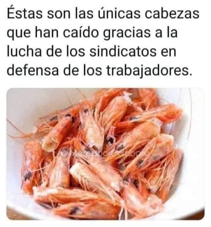 bilmaaa's tweet photo. @JovenesCCOO @UnaiSordo Vosotros a lo vuestro. https://t.co/Enb0ds8ihG
