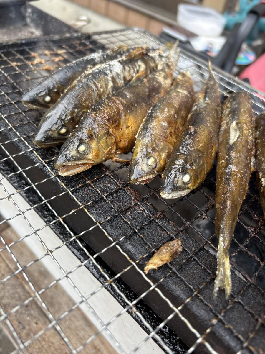 harutorauto's tweet photo. T.miyazaki eats 🚗

新潟県魚野川産　鮎　🐟

黒保根フィッシング周年祭最���日
お裾分け🤤

#黒保根フィッシング 

@Tmiyaza46362878 
@kurohoneKF https://t.co/kWV22eobTL