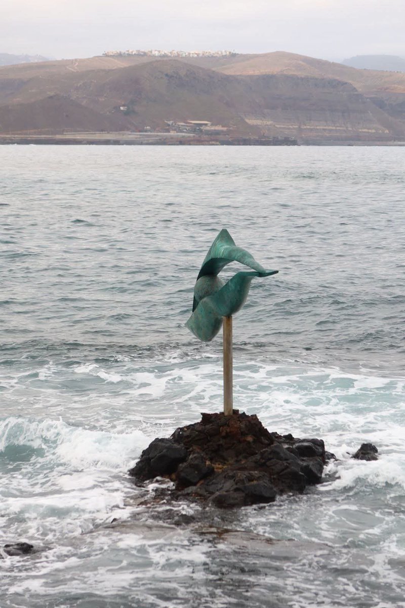 LasCanteras's tweet photo. Buenos días, martes 🌺
Intervalos nubosos; se anuncian lluvias
Ligeramente calimoso 🏖️
Precaución con el mar, siempre 🏊🏽♀️
Portada web:
https://t.co/eNsPwGBRBH
Mareas y otros datos: https://t.co/ORa5aZJP9k
📷 El delfín de Cousteau 🐬
https://t.co/ap8ftVH7kx
#Fotodeldia https://t.co/lIy9kTioU3