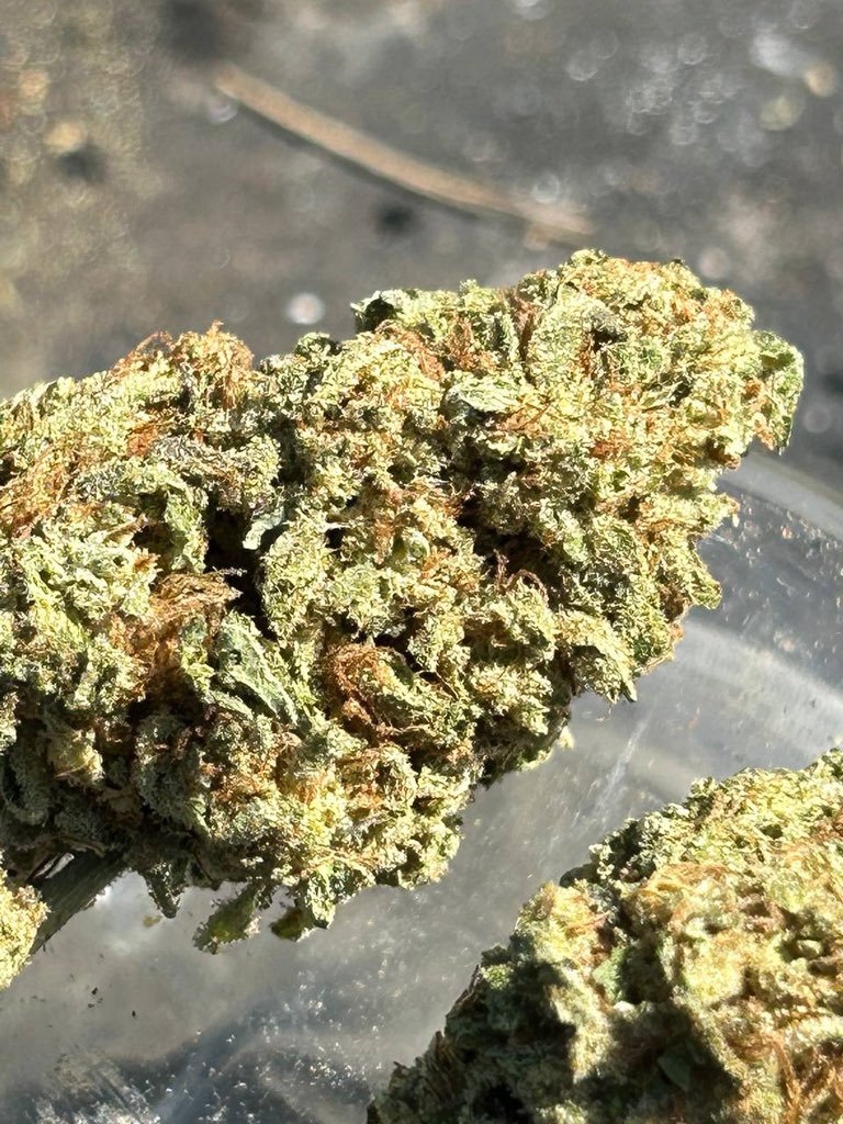 CloudDistrictTX's tweet photo. Caramel Cake
Serving the local area 📍
Tap in for availability 📲
Get LOCKED-IN 🔐 
Your go-to MobilePlug 👑🔥
DM to connect. 
#arlington #dallas #tx #texas #fortworth https://t.co/CHoFjk7Qok