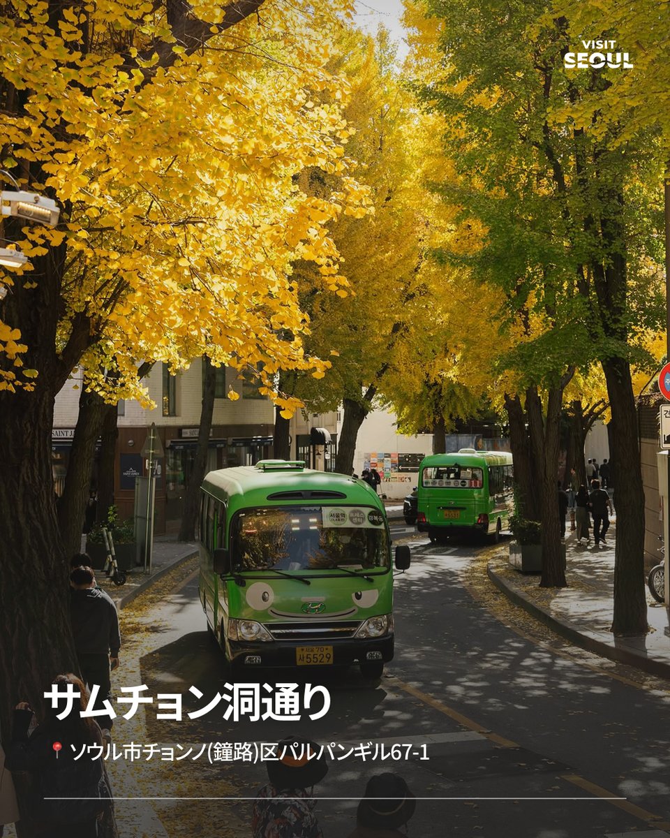 VisitSeoul_JP's tweet photo. ソウルで楽しむ、秋の紅葉めぐり🍂🍁

10月末〜11月上旬、街が紅葉に彩られるソウル✨
古宮や散策路など、秋のソウル旅行で訪れたいスポットを忘れないように保存しておきましょう📝 https://t.co/SKLbt2IqaB
