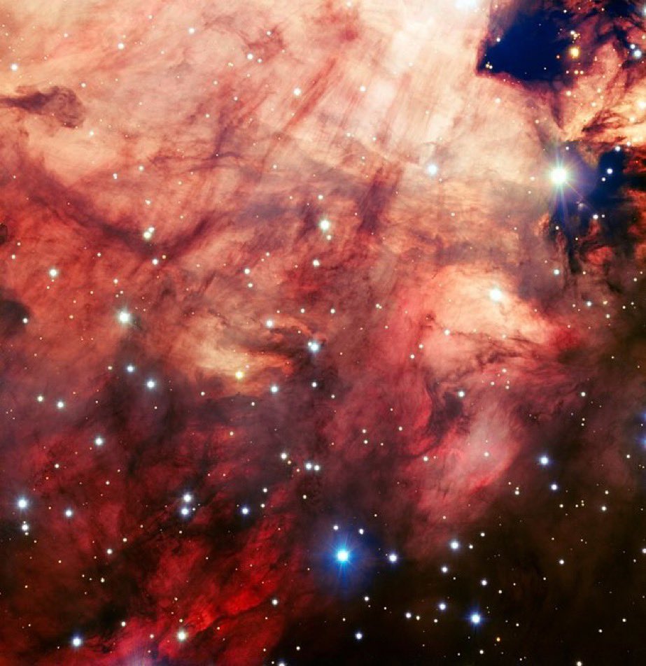 SciNatureNews's tweet photo. Captured by ESO's Very Large Telescope (VLT), this breathtaking view of the Omega Nebula (Messier 17) is one of the clearest ground-based images ever taken, revealing its central dusty and rosy features with stunning precision.

(Credit: ESO) https://t.co/cMOmlhppi3