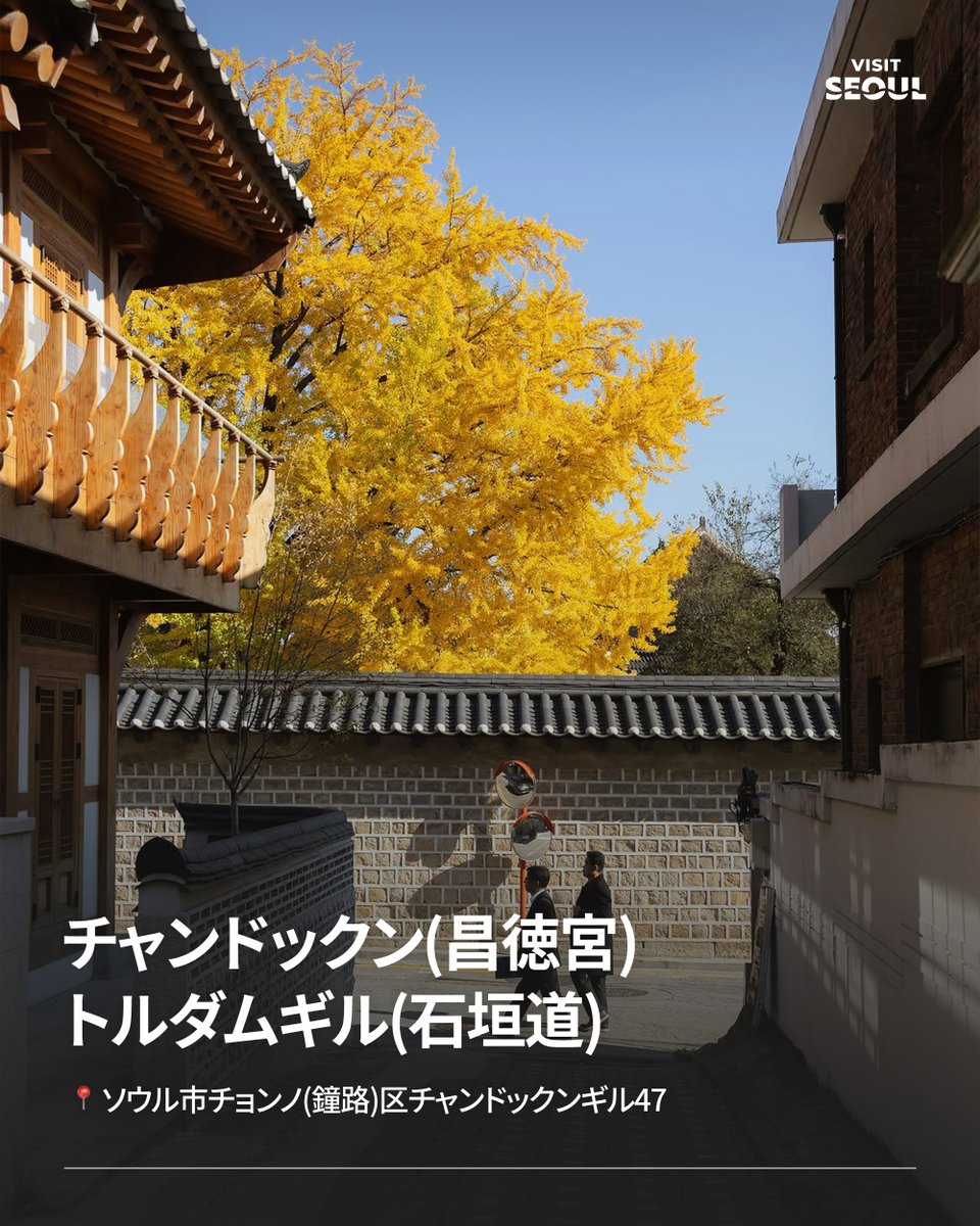 VisitSeoul_JP's tweet photo. ソウルで楽しむ、秋の紅葉めぐり🍂🍁

10月末〜11月上旬、街が紅葉に彩られるソウル✨
古宮や散策路など、秋のソウル旅行で訪れたいスポットを忘れないように保存しておきましょう📝 https://t.co/SKLbt2IqaB