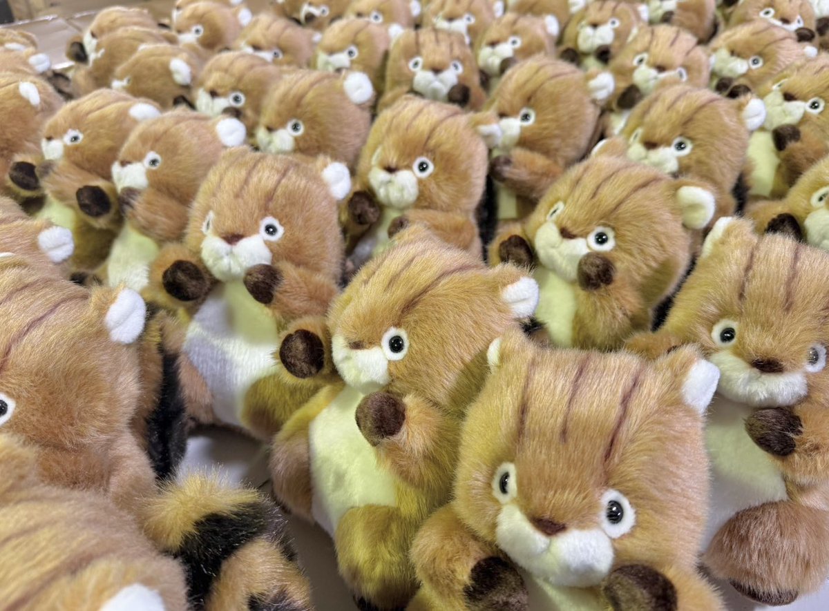 TAKENOKO_kawaii's tweet photo. ・
たけのこで今。
可愛い大渋滞が起きています...🐿️♡
(ひとつひとつ検品中です)

商品：品番18791  森のなかま(S)リス https://t.co/T5ndZZY6vq