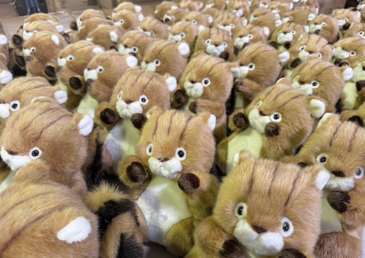 TAKENOKO_kawaii's tweet photo. ・
たけのこで今。
可愛い大渋滞が起きています...🐿️♡
(ひとつひとつ検品中です)

商品：品番18791  森のなかま(S)リス https://t.co/T5ndZZY6vq