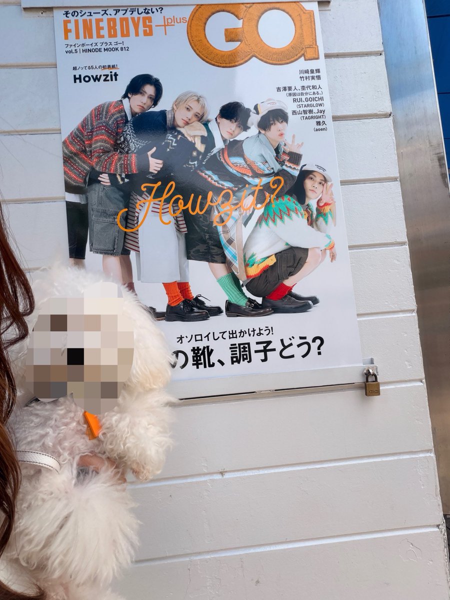 pipi___0320's tweet photo. Howzit渋谷のとこ陽に当たって光り輝いていた🐶黒田くんとわんこ https://t.co/R8D7ucFAIy