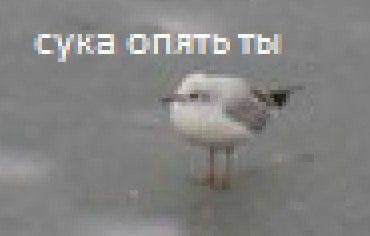 MaksU__uu's tweet photo. @nob0dyhearu @olivka_lis https://t.co/jY7QxX8SHs
