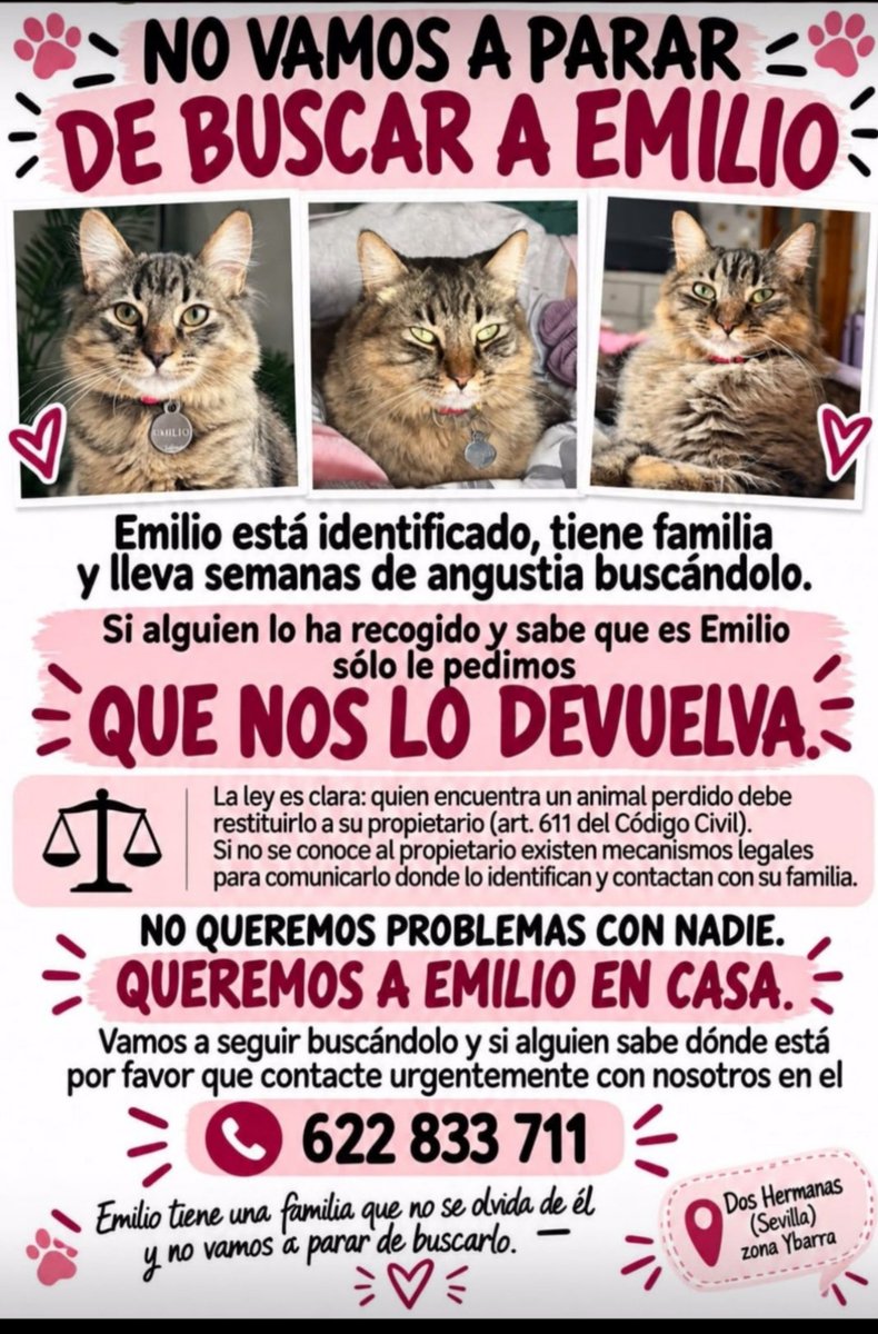 Erta2017's tweet photo. ¿Perdido o robado?.
Buscan a #Emilio https://t.co/mNsauOws5K
