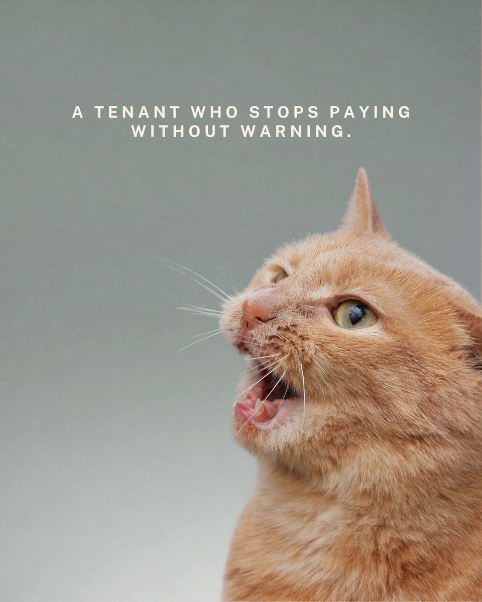 takeem_ai's tweet photo. Nobody enjoys a pop quiz, but at least you can revise for one.
A tenant defaulting rarely comes with a warning. That's exactly why Takeem exists, so it stops being a crisis and starts being just another month.
#Takeem #Landlords #DubaiRealEstate #RentalMarket #UAE https://t.co/czJPSQ5GKU