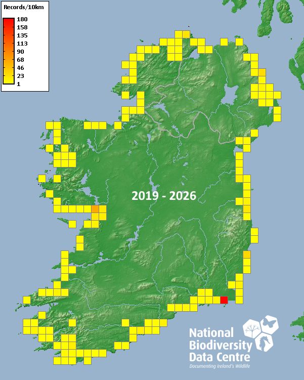 BioDataCentre's tweet photo. THEN AND NOW... The distribution of shore crab (Carcinus maenas) around the Irish coast has not changed since pre-2010. Explore Your Shore! has helped fill some gaps but this species is still found all around the Irish coast. https://t.co/jD4TaT1e6G https://t.co/eWF0BuMHZj