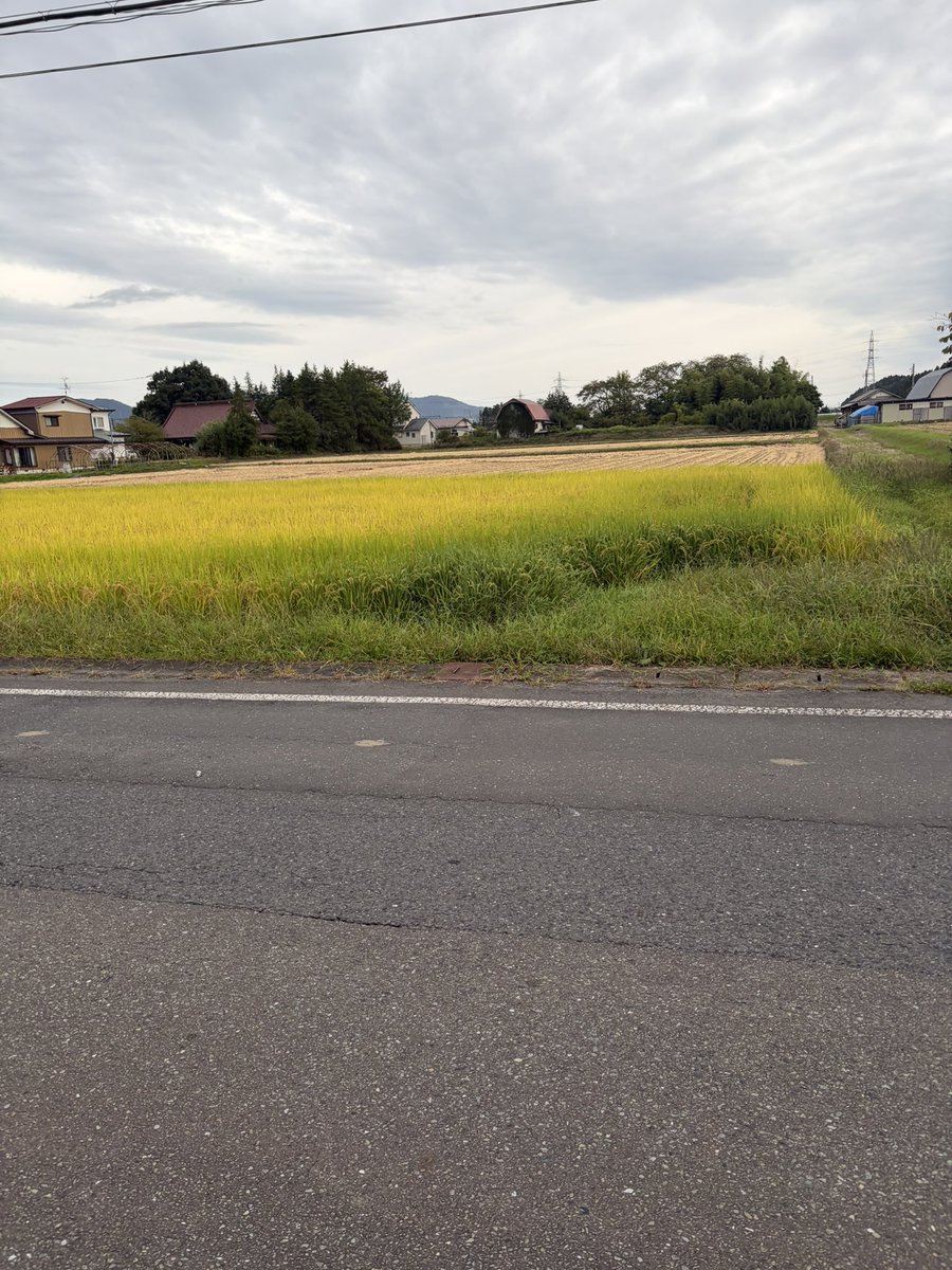 nonnonnoa6's tweet photo. 帰るぞ！！！！ https://t.co/Yse7dkH5Jl