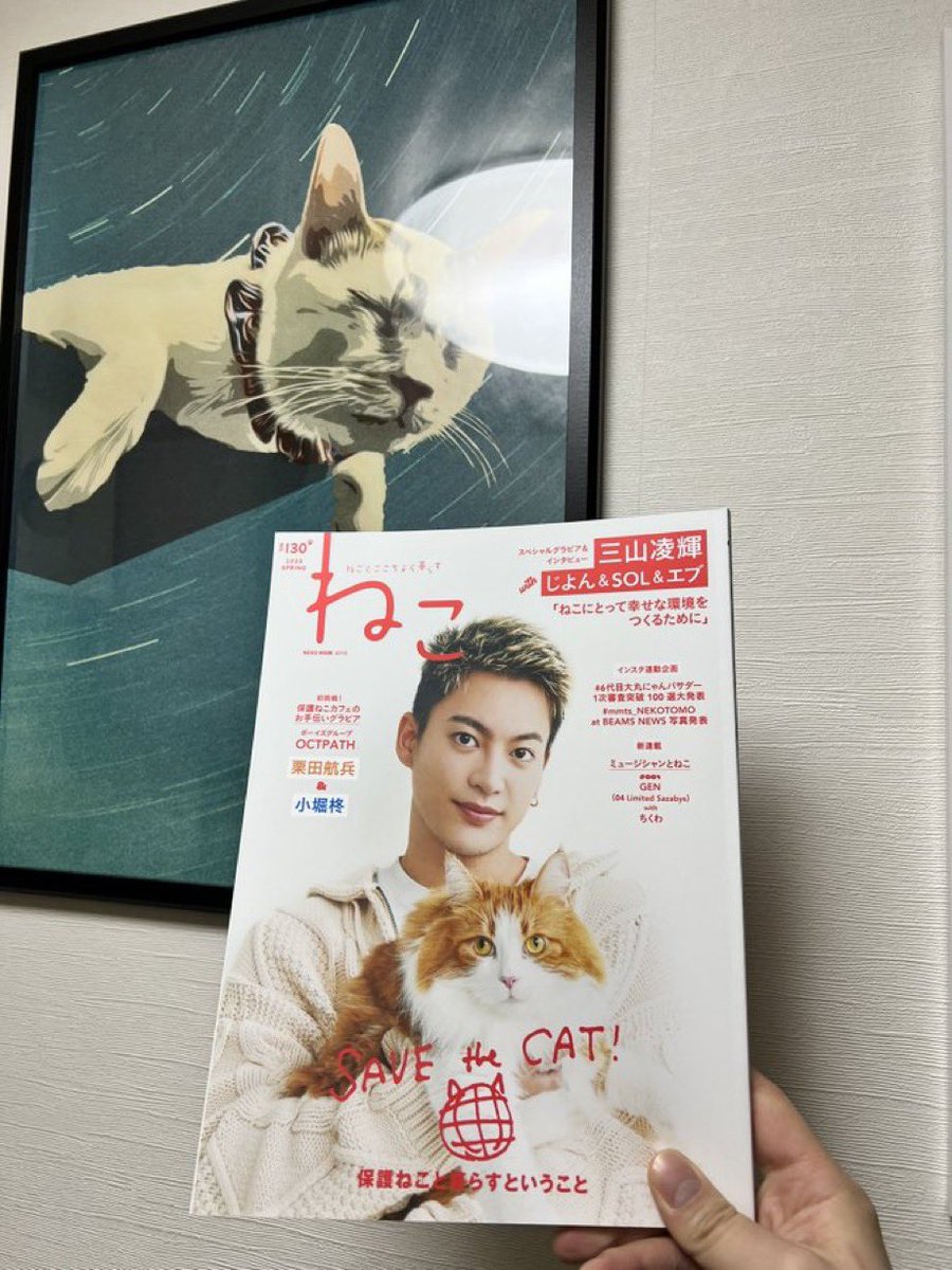 haikeinekosama's tweet photo. 拝啓ねこ様58期生到着しました！

雑誌ねこでお掃除などのお手伝いをしてくれた

OCTPATHの #栗田航兵 さんと
#小堀柊 さんからお名前いただきました！

・こぼ君(茶トラ)
・くり君(茶白)

来月一歳のBIG兄弟！きまた達との差がすごい！

#阿佐ヶ谷　#拝啓ねこ様 https://t.co/8Wh9D9oTUY