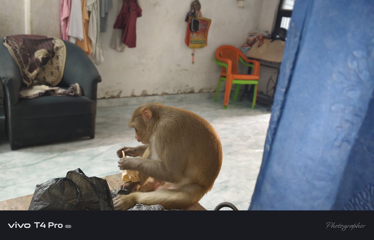 invinciblegud91's tweet photo. Mere ghar rishtedaar aye h pls koi disturb  mat karna aaj ye deko aap log bhi 😂🫣🫣😁🤪 https://t.co/KSD3L7YadK
