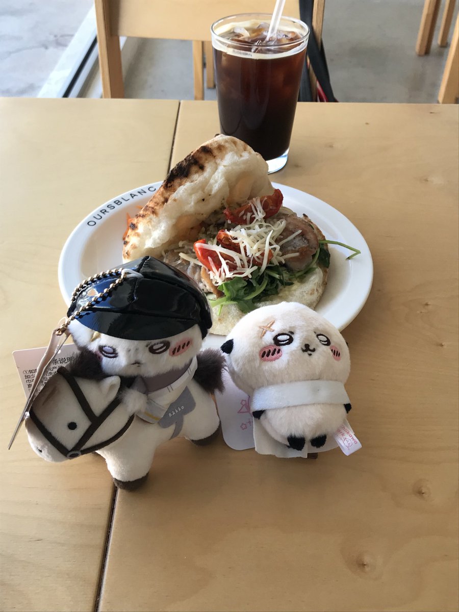hehejoajoa's tweet photo. 승마 랏코 듬직함 미쳤다 하 https://t.co/Zg3l67jvx3