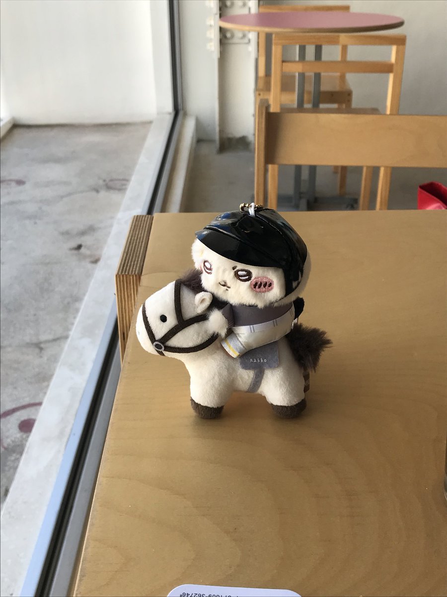 hehejoajoa's tweet photo. 승마 랏코 듬직함 미쳤다 하 https://t.co/Zg3l67jvx3