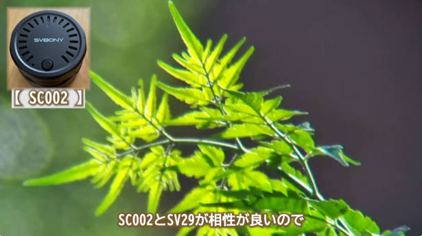 svbony's tweet photo. 「この価格で、ここまで見える。」
大人気YouTuberなるみん（@nature_naa）さま、SVBONY #SV29 フィールドスコープ ＆ #SC002 電子接眼レンズの徹底レビューにありがとうございます✨

80mm大口径で遠くの野鳥も👀！
スマホ接続で感動をその場でシェア📱👇
https://t.co/V8ekfRfxVH
#SVBONY #新製品 https://t.co/JKR2pLM7KW
