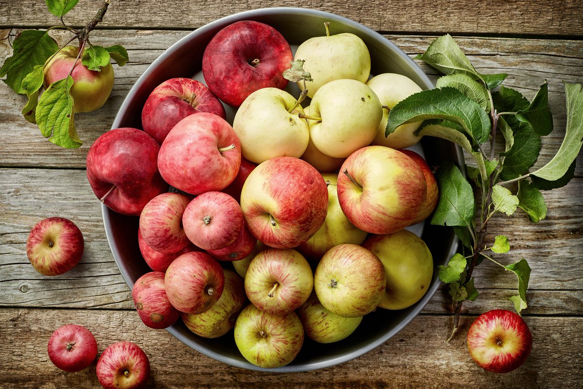 aepla_asoc's tweet photo. Entre los distintos árboles frutales, la manzana 🍏 es uno de los cultivos de temporada más representativos del otoño.

Cultivo:
🌡️ Resiste el frío
🌱 Suelos frescos
💧 Evita encharcamientos

Protección:
🐛 Gorgojo, Zeuzera, Cossus, Psila...
🥀 Oídio, Roña, Moniliosis, Virosis.. https://t.co/VqZbwRM9kH
