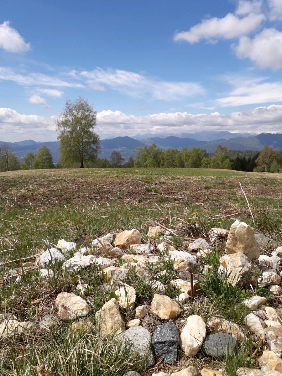 Montecrossa's tweet photo. #Photo by #Mirakali In the hills of Mirapuri @yzcyzf @iliana_uribe #photography #photographer #Mirapuri #NaturePhotography #hills #atmosphere #landscapephotography #TwitterNatureCommunity #nature #landscape https://t.co/77ATE5zzQo https://t.co/BFVGj3NJZ1