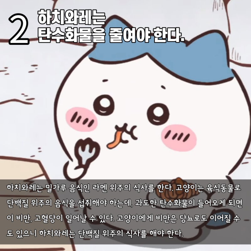 hachimamaS2's tweet photo. 너무 귀여운 하치와레 수의사 선생님 분석글 발견ㅋㅋㅋ
https://t.co/FRJuxEArNs https://t.co/gUBGAYe3RK