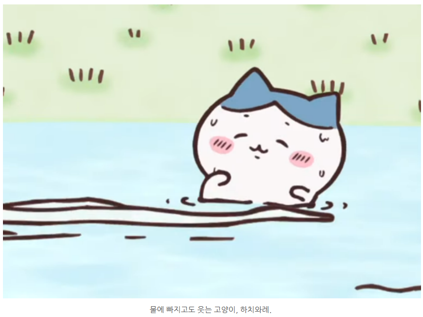 hachimamaS2's tweet photo. 너무 귀여운 하치와레 수의사 선생님 분석글 발견ㅋㅋㅋ
https://t.co/FRJuxEArNs https://t.co/gUBGAYe3RK