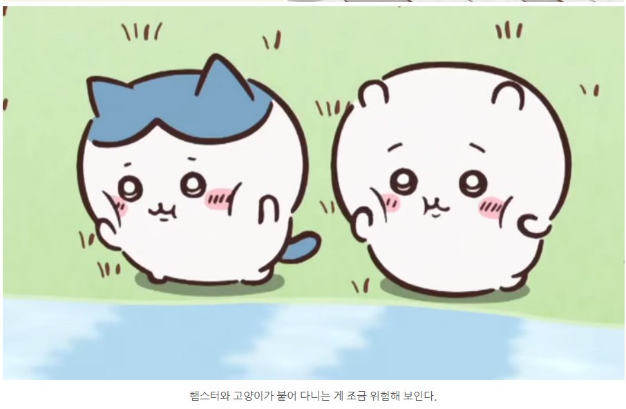 hachimamaS2's tweet photo. 너무 귀여운 하치와레 수의사 선생님 분석글 발견ㅋㅋㅋ
https://t.co/FRJuxEArNs https://t.co/gUBGAYe3RK