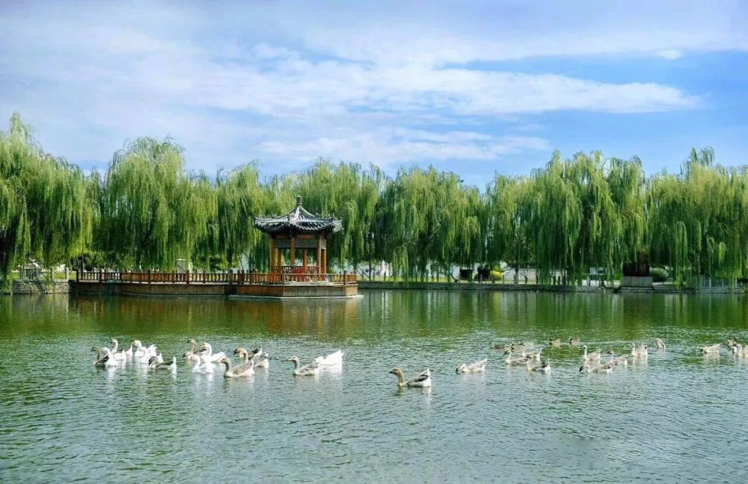 ridho_irza's tweet photo. [On a clear day, a cute澄褂鸭 waddles by the lake, full of joy!]， https://t.co/ES2s0UmaFu
