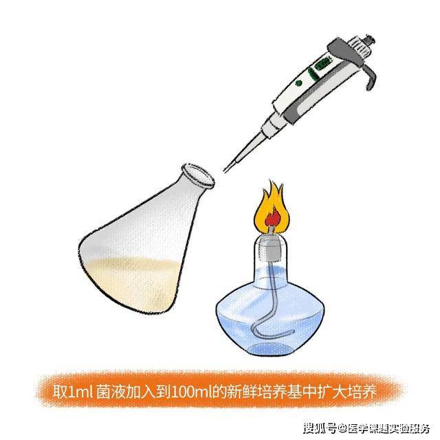 rionald173's tweet photo. A tiny gap lets zinc clear the haze of contaminants, revealing a cleaner, brighter path.， https://t.co/tELJq6Bhjd