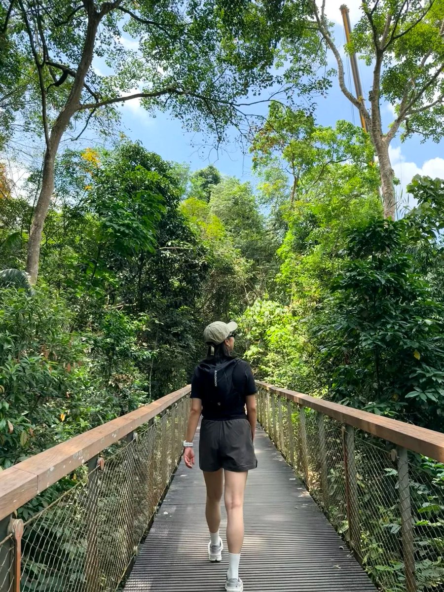Fairy_Nim20's tweet photo. Hiking at MacRitchie Reservoir https://t.co/5XttBC6IEa