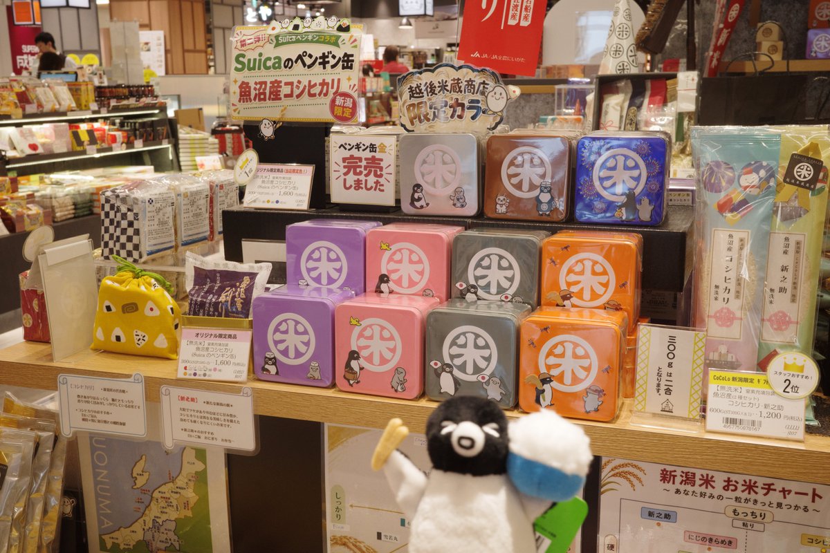 suisuipengu1n's tweet photo. すこし前の新潟ペン活！Suicaのお米缶と朱鷺の子を入手！新潟駅で出迎えるコンシェルジュペンギンにもご挨拶！
近くのバスセンターのカレーもおいしくいただきました🐧
#Suicaのペンギン
#新潟駅
#PenguinYearsごいっしょに https://t.co/RDE82aFdLr