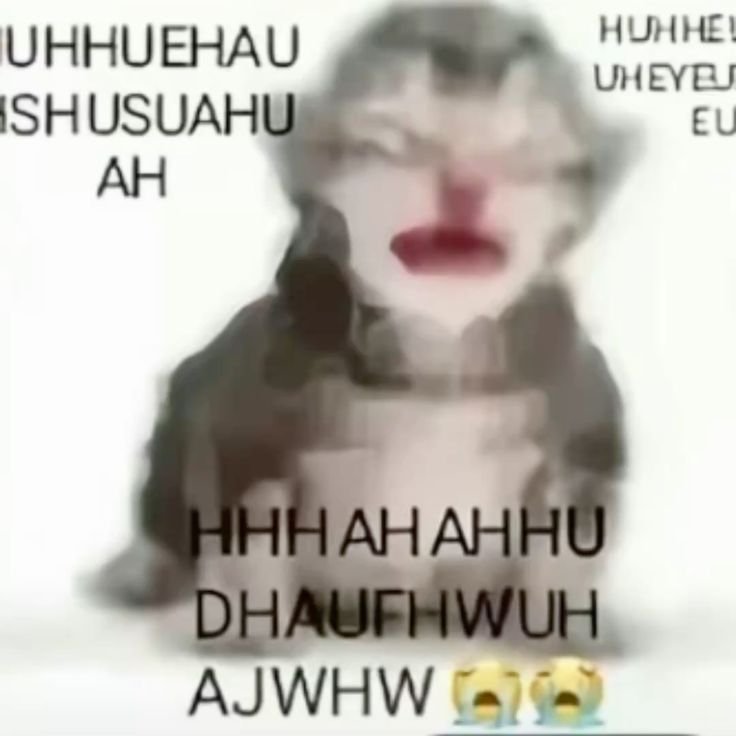 renjunkgoreng's tweet photo. ah aku rasa aku hilang arah (beneran))) https://t.co/ah1N5agFGr