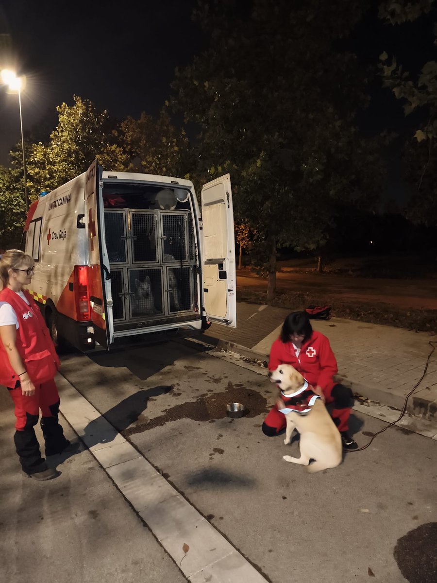 CreuRojaCAT's tweet photo. 🔴 Des d’aquesta matinada, l’equip de Gossos de Rescat i Recerca s’ha incorporat a la recerca del menor autista desaparegut a Granollers durant l’episodi de pluges torrencials #INUNCAT

Sobre el terreny hi treballen 11 persones voluntàries i 6 gossos especialitzats. https://t.co/Jyfn1hwwt9
