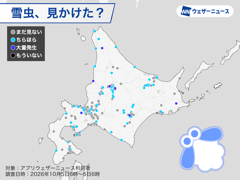 wni_jp's tweet photo. 【雪虫出現　昨年より早いペース】
北海道では9月後半から雪虫の報告が届くようになりました。
そこで「雪虫見かけた？」という調査を実施したところ、ここ数日で目撃報告が急増し、昨年よりも早いペースで推移していることが明らかになりました。
https://t.co/dBKkzF79IT https://t.co/ymqBDnHL4h