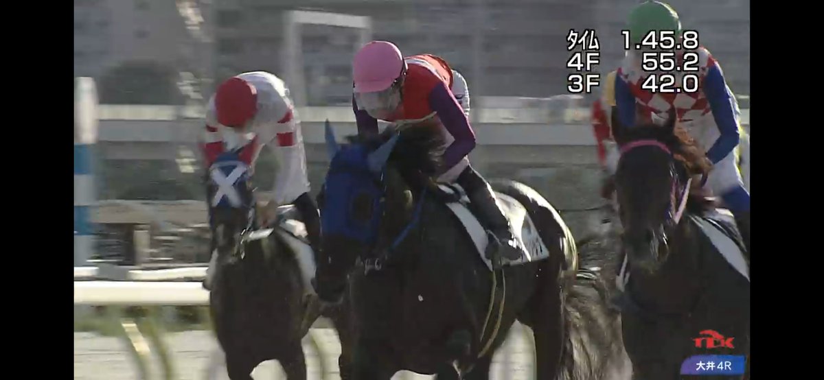 MmeCherokee09's tweet photo. ルネサンスクラブやったね！
４コーナー外からスーッと上がってきて直線抑えきっての勝利！
初勝利おめでとう！！！ https://t.co/t9chl2BWXF