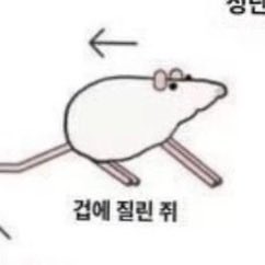 NXwna5's tweet photo. 오오오오 그것도 맞고
이 짤을 보고 너무너무 마음에 들어서…
뭔가 맞출만한게 없을까 고민을 해봤다네요 https://t.co/vgf9EuDxgu