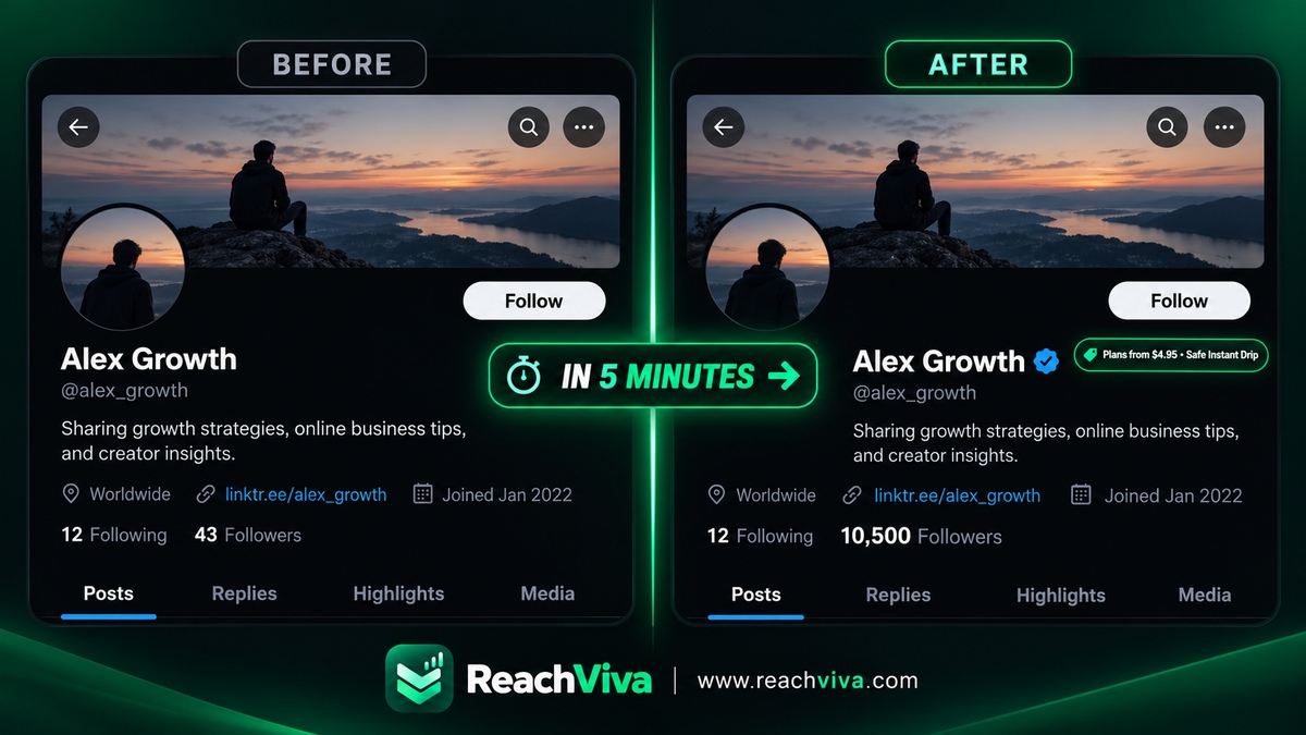 ReachVivaX's tweet photo. More followers can give a great profile a warmer welcome, without telling the whole story. ReachViva offers steady follower growth from $4.95, with no password or account access. Which project deserves a bigger audience? #GetFollowers https://t.co/vDYU8rWigC
