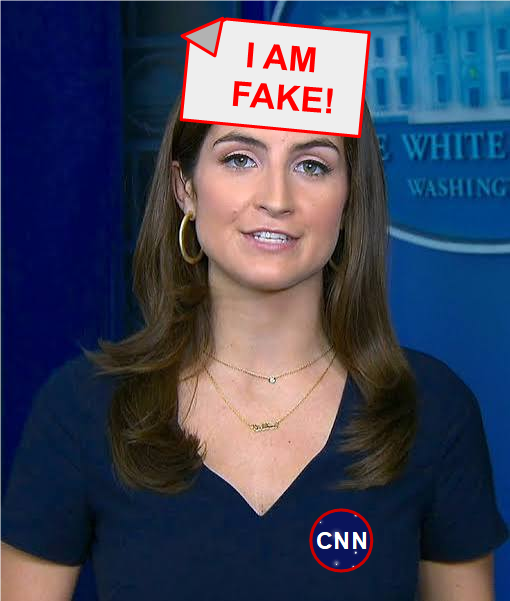 451_Grad_F's tweet photo. #Donalds neuste Order besagt, das alle unabhängigen Medienvertreter ab sofort dieses Schild an ihre Stirn kleben müssen! https://t.co/8W1u2oCZFT