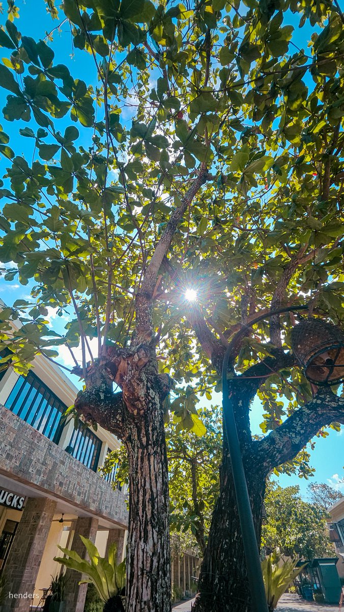 henderwanders's tweet photo. GWK | Garuda Wisnu Kencana Area Park in Bali.
 
#withGalaxy
@Snapdragon @Snapdragon_ID 
#ShotOnSnapdragon https://t.co/zmq6wQ7TOq